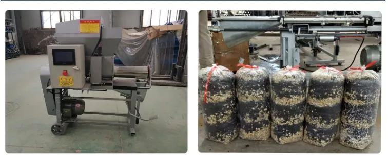 Layered Oyster Mushroom Fermented Substrate Bagging Seeding Machine